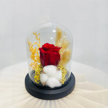 Preserved Rose in Glass Dome